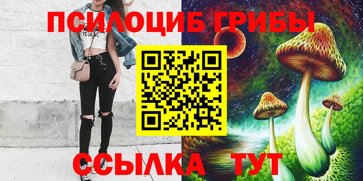 Галлюциногенные грибы Psilocybine cubensis Озёры