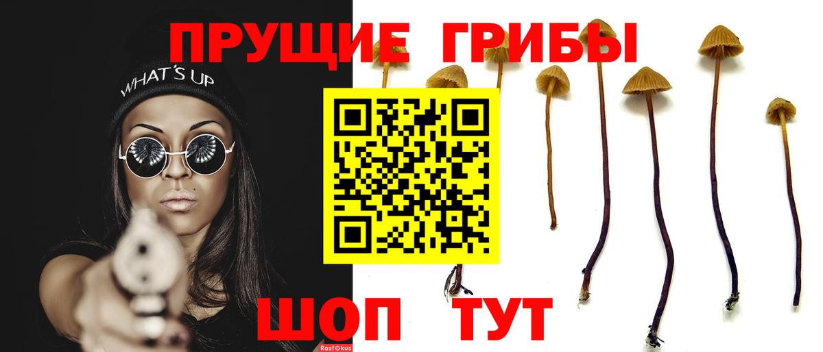 Галлюциногенные грибы GOLDEN TEACHER  Вход с VPN  Озёры  Галлюциногенные грибы прущие грибы 
